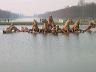 gba2003.02-france-2444