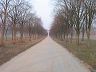 gba2003.02-france-2899