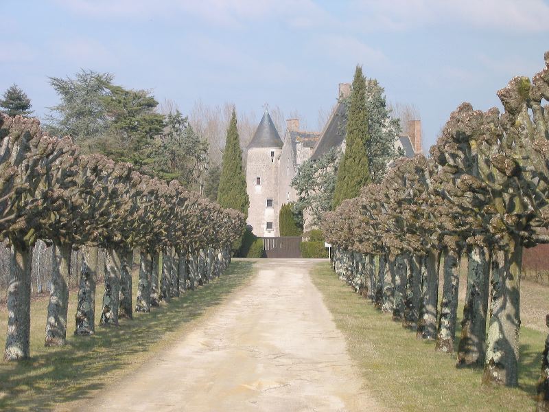 gba2003.02-france-2822.jpg