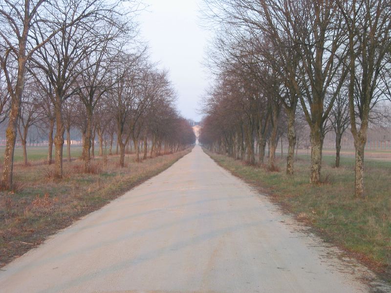 gba2003.02-france-2899.jpg