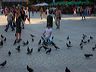 img_0280