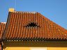 img_0539