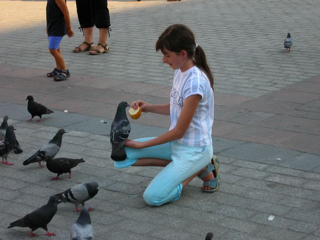 img_0281.jpg