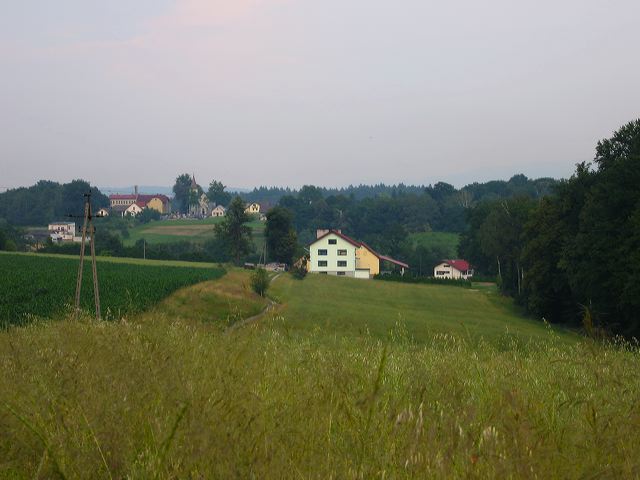 img_0393.jpg