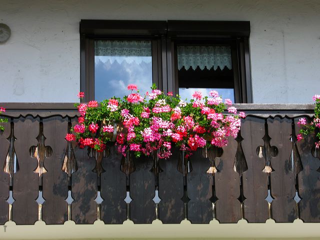 img_0743.jpg