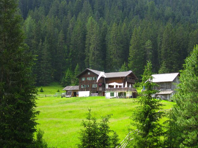 img_0917.jpg