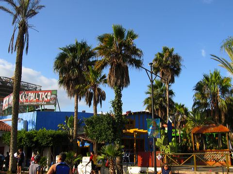 img_2364.jpg