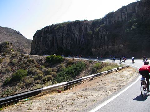 img_2434.jpg