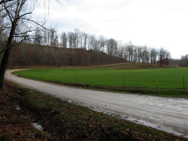 img_4446.jpg