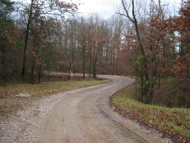 img_4465.jpg