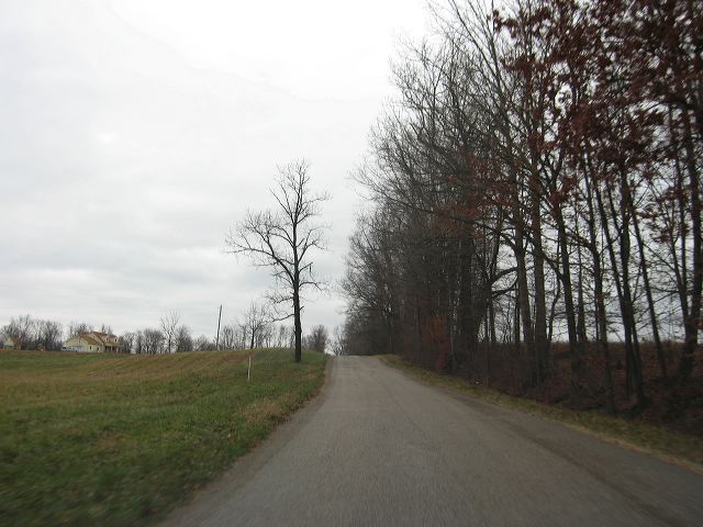 img_4551.jpg