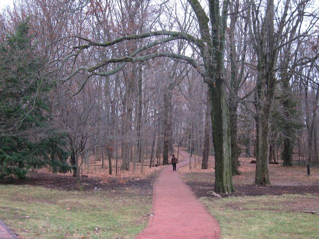 img_4558.jpg