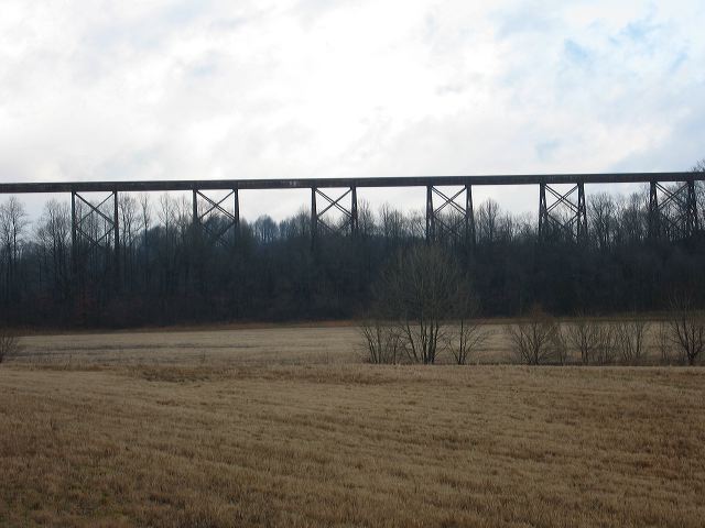 std_4402.jpg