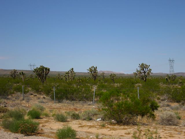 img_3867.jpg