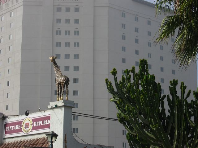 img_3912.jpg