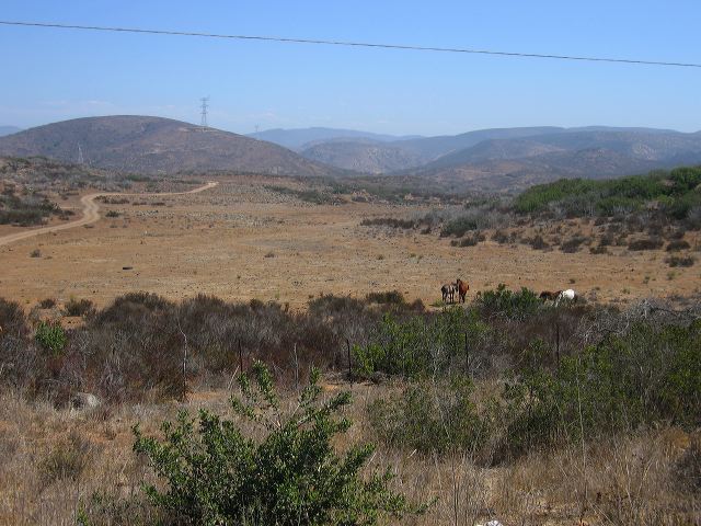 img_4043.jpg