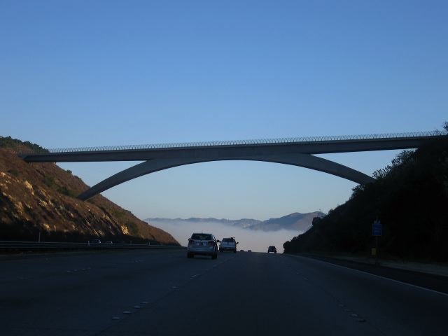 img_4169.jpg