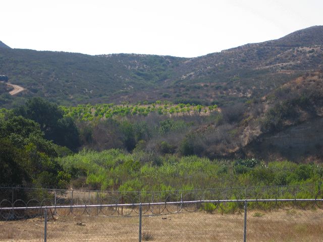 img_4094.jpg