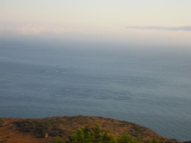 img_4131.jpg