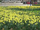 gba2014.03-london-5589