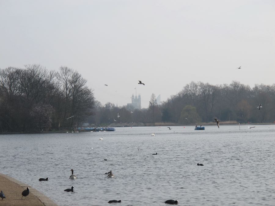 gba2014.03-london-5585.jpg