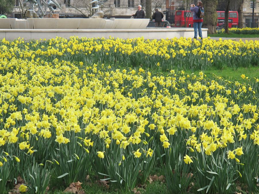 gba2014.03-london-5589.jpg