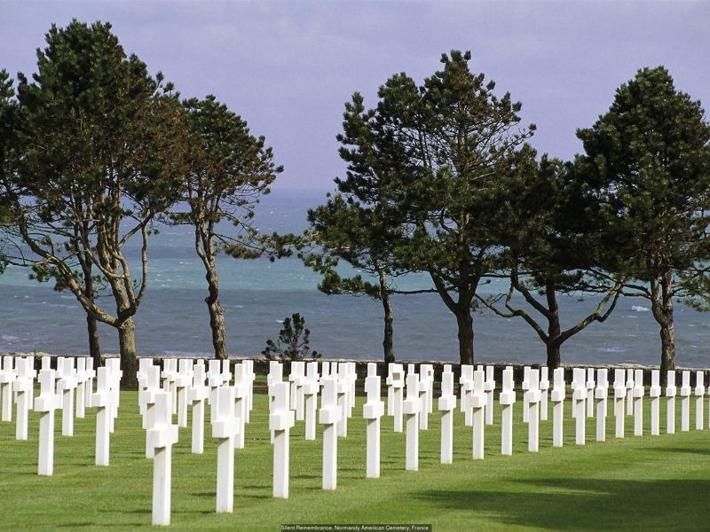 silent_remembrance___513873.jpg